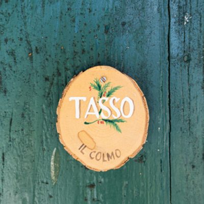 tasso-(14)